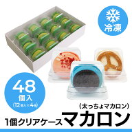 [太っちょマカロン] 業務用トゥンカロン 全12種類 48個入り セット マカロン トゥンカロン 卸　おろし　…
