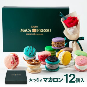 yMtgz + I[X^[12Zbg }J gDJ }Jvb\ MACAPRESSO }J Ԃ َq Mtg XC[c j mَq bsO MtgJ[h Ǝ  