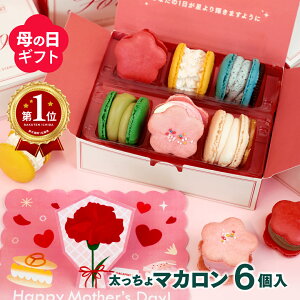�y��̓��z���� �}�J���� 6�Z�b�g ���� �}�J���� �g�D���J���� ��������}�J���� �v���[���g �}�J�v���b�\ MACAPRESSO ���َq �X�C�[�c ���j�� �m�َq �a���� ���Ǝ� �Ε�