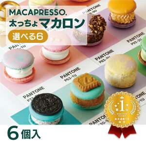 [楽天ランキング1位獲得!] 太っちょマカロン MACAPRESSO 選べる 6個セット マカプレッソ トゥンカロン マカロン macaron 韓国 スイーツ デザート 母の日 プレゼント ギフト