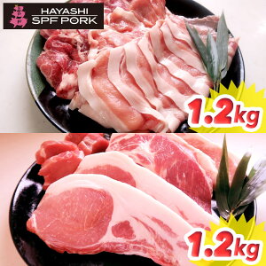 p iIwɂ݁x`CXV[YFIIׂ2.4kgZbgsMtgÊiLjΉtySESȐtYiYjؗSPFz