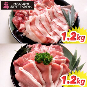 p iIwɂ݁x`CXV[YFIIׂ2.4kgZbgsMtgÊiLjΉtySESȐtYiYjؗSPFz