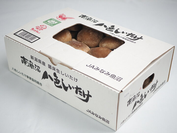 楽天市場】【新潟県産 八色生しいたけ しいたけ 菌床栽培 (約1kg) 林 