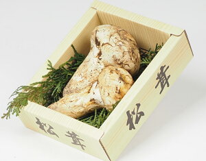 ykĎY  1pbN 100g уt[czj Cj   ei j oYj  u a G߂̖ { 