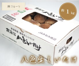【新潟県産 八色生しいたけ しいたけ 菌床栽培 (約1kg) 林フルーツ】