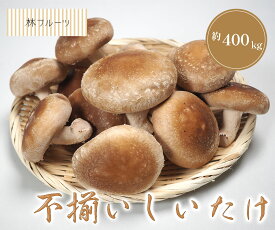 【岩手県産 不揃い しいたけ 約400g キノコ 林フルーツ】