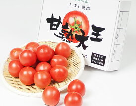 岐阜県産 フルーツトマト 甘熟大王 1箱 約1kg 林フルーツ