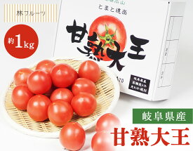 【岐阜県産 フルーツトマト 甘熟大王 1箱 約1kg 林フルーツ】
