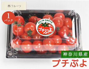 �y�_�ސ쌧�Y �v�`�Ղ� �~�j�g�}�g 1�p�b�N (��350g) �уt���[�c�z��j ���C�j ��� �������� �e�i ���j �o�Y�j�� ���� �u �a���� �G�߂̖�� �{