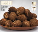 【埼玉県産 里芋 Lサイズ 約3kg 林フルーツ】　御祝 快気祝 御礼 お見舞い 粗品 内祝 出産祝い お供 志 誕生日 季節の…
