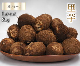【埼玉県産 里芋 Lサイズ 約3kg 林フルーツ】　御祝 快気祝 御礼 お見舞い 粗品 内祝 出産祝い お供 志 誕生日 季節の野菜 やさい