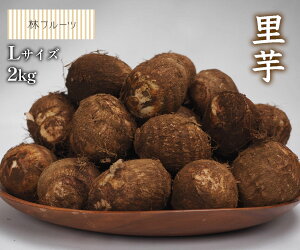 yʌY  LTCY 2kg уt[cz@j Cj   ei j oYj  u a G߂̖ ₳