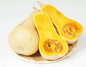 【千葉県産 バターナッツかぼちゃ 約1kg×2個 林フルーツ】
