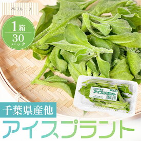 【千葉県産他 アイスプラント 1箱 （30パック入） 林フルーツ】御祝 快気祝 御礼 お見舞い 粗品 内祝 出産祝い お供 志 誕生日 季節の野菜 やさい