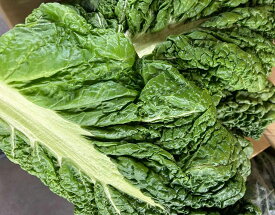 【福岡県産 かつお菜 1袋 （約150g） 林フルーツ】御祝 快気祝 御礼 お見舞い 粗品 内祝 出産祝い お供 志 誕生日 季節の野菜 やさい