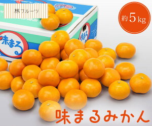 y茧Y ܂݂ Gi 5kg уt[czj Cj   ei j oYj  u a G߂̉ʕ {  