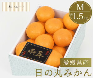 yQY ̊ۂ݂ MTCY ϔ 15 уt[czj Cj   ei j oYj  u a G߂̉ʕ {  