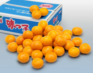 y茧Y q݂ 5kg уt[czj Cj   ei j oYj  u a G߂̉ʕ {  