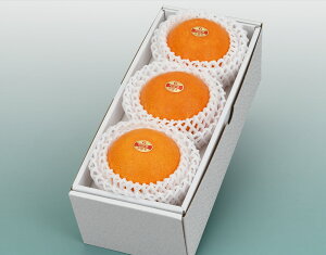 yQY g܂ǂ Gi 3 (850g) уt[czj Cj   ei j oYj  u a G߂̉ʕ {  