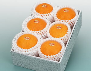 yQY g܂ǂ Gi 6 1.7kg уt[czj Cj   ei j oYj  u a G߂̉ʕ {  