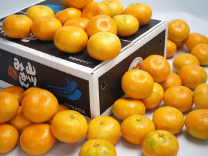 yY R k݂ Gi (4kg) уt[czj Cj   ei j oYj  u a G߂̉ʕ {  