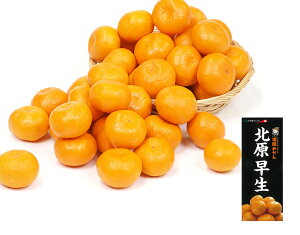 yY R k݂ Gi 2kg уt[czj Cj   ei j oYj  u a G߂̉ʕ {  