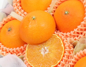 yQY g܂ǂ Gi 6 1.5kg уt[czj Cj   ei j oYj  u a G߂̉ʕ {  