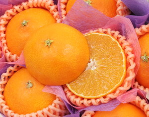 yQY g܂ǂ Gi 8 1.6kg уt[czj Cj   ei j oYj  u a G߂̉ʕ {  