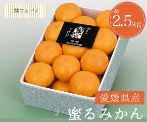 yQY ݂ ϔ 21ʁ`25 2.5kg уt[czj Cj   ei j oYj  u a G߂̉ʕ {  