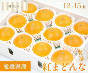 yQY g܂ǂ Gi 12ʁ`15 3kg уt[czj Cj   ei j oYj  u a G߂̉ʕ {  