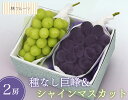 【シャインマスカット、種なし巨峰詰め合せ 林フルーツ】御祝 快気祝 御礼 お見舞い 粗品 内祝 出産祝い お供 志 誕生日 季節の果物 旬 くだもの 送料無料