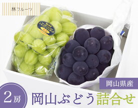 【お中元企画 岡山ぶどう詰合せ 林フルーツ】お中元 御中元 夏 御礼 贈答 お返し おちゅうげん なつ サマーギフト 季節の果物 旬 くだもの 送料無料