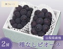 【種なしピオーネ 2房 (約900g) 林フルーツ】御祝 快気祝 御礼 お見舞い 粗品 内祝 出産祝い お供 志 誕生日 季節の果物 旬 くだもの 送料無料