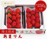 【埼玉県産 あまりん 1箱 (5粒～15粒) 約250g×2パック 林フルーツ】 御祝 快気祝 御礼 お見舞い 粗品 内…