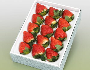 yƂ DX i12~15j 450g уt[czj Cj   ei j oYj  u a G߂̉ʕ { 