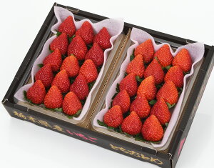 yȖ،Y Ƃ (12`15) 330g×2 уt[czj Cj   ei j oYj  u a G߂̉ʕ { 