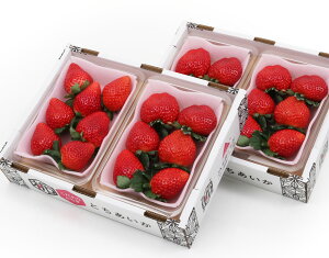 yĉƂ 300g×4 уt[czj Cj   ei j oYj  u a G߂̉ʕ { 