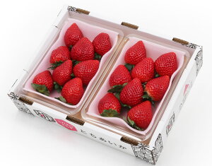 yĉƂ 300g×2 уt[czj Cj   ei j oYj  u a G߂̉ʕ { 