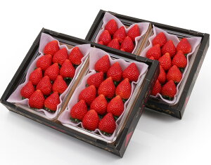 yȖ،Y Ƃ (12`15) 330g×4 уt[czj Cj   ei j oYj  u a G߂̉ʕ { 