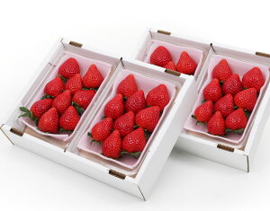 yc΂El Ƃ 280g×4 уt[cz~   Ԃ EC^[Mtg 