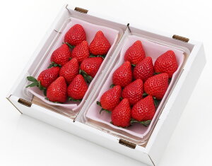 yc΂El Ƃ 280g×2 уt[cz~   Ԃ EC^[Mtg 