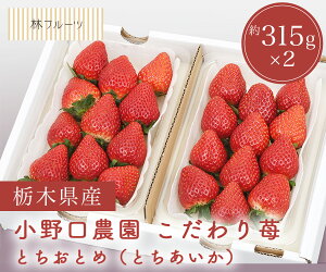 �y������_�� �������� �i�Ƃ����Ƃ� ���� �Ƃ�������) ��315g×2 (9���`14��) �уt���[�c�z�j ���C�j ��� �������� �e�i ���j �o�Y�j�� ���� �u �a���� �G�߂̉ʕ� �{ ��������