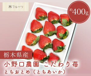 �y������_�� �������� �i�Ƃ����Ƃ� ���� �Ƃ��������j���ϔ� (12���`15��) ��400g �уt���[�c�z�j ���C�j ��� �������� �e�i ���j �o�Y�j�� ���� �u �a���� �G�߂̉ʕ� �{ ��������