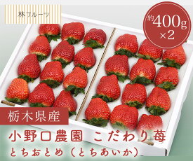 【小野口農園 こだわり苺 （とちおとめ 又は とちあいか）変形果 約400g×2 林フルーツ】祝 快気祝 御礼 お見舞い 粗品 内祝 出産祝い お供 志 誕生日 季節の果物 旬 くだもの