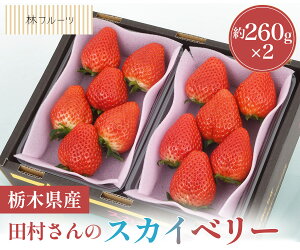 yc̃XJCx[ Gi (4`15)260g×2уt[cz j Cj   ei j oYj  u a G߂̉ʕ { 