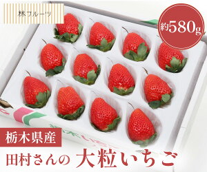 yc̑嗱 12 580g уt[czj Cj   ei j oYj  u a G߂̉ʕ { 