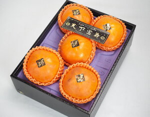 y򕌌Y Vx m 5`6(1,4kg)уt[czj Cj   ei j oYj  u a G߂̉ʕ {  