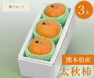 yF{Y H` Gi 3 уt[czj Cj   ei j oYj  u a G߂̉ʕ {  