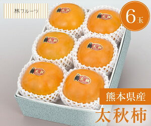 yF{Y H` Gi 6 уt[czj Cj   ei j oYj  u a G߂̉ʕ {  