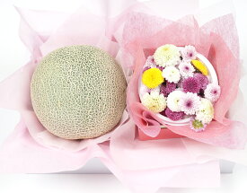 【フルーツ詰合わせ C 林フルーツ】御祝 快気祝 御礼 お見舞い 粗品 内祝 出産祝い お供 志 誕生日 季節の果物 旬 くだもの 送料無料